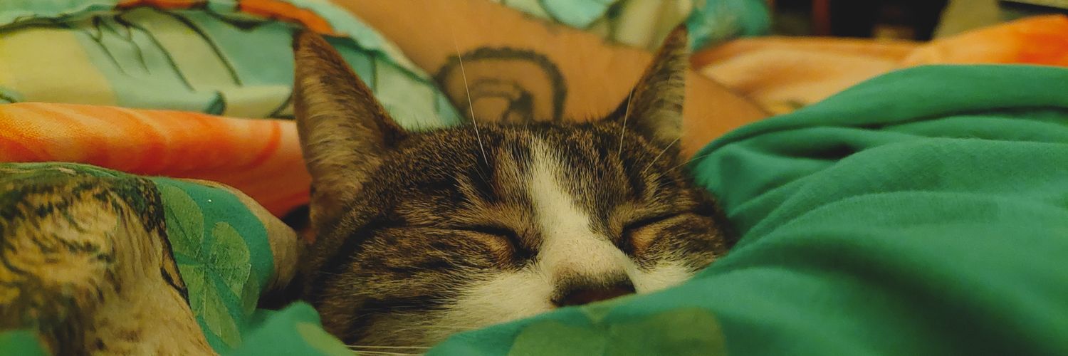 Panditass's profile banner image