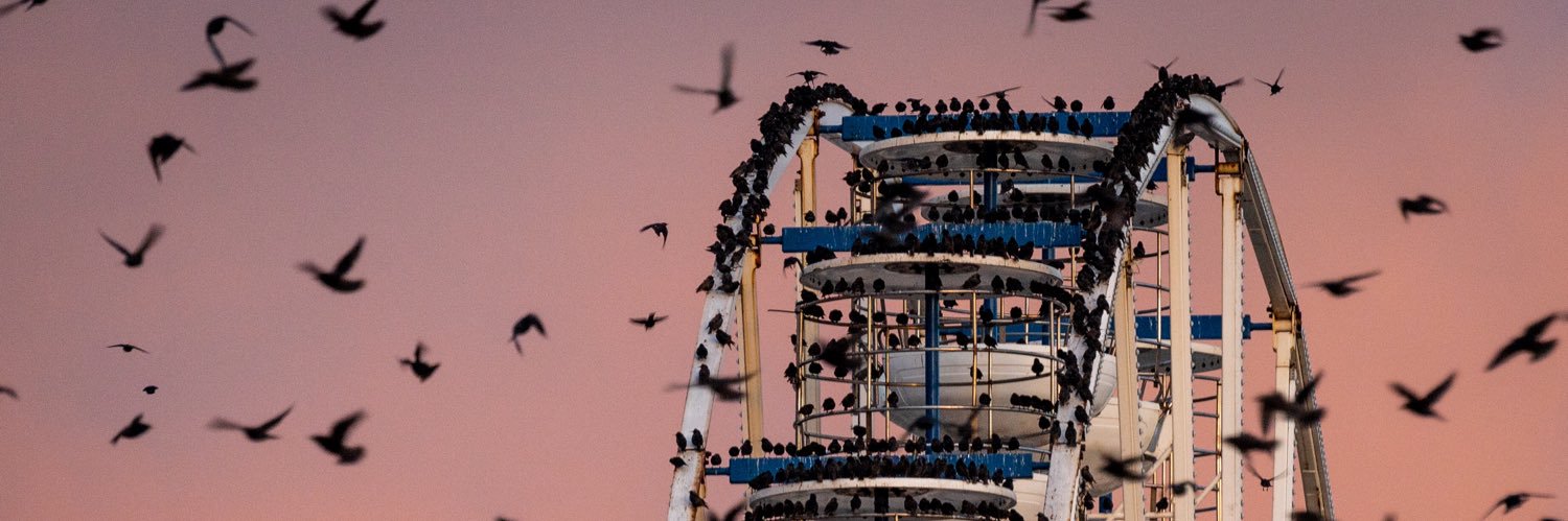 Russell Howarth banner