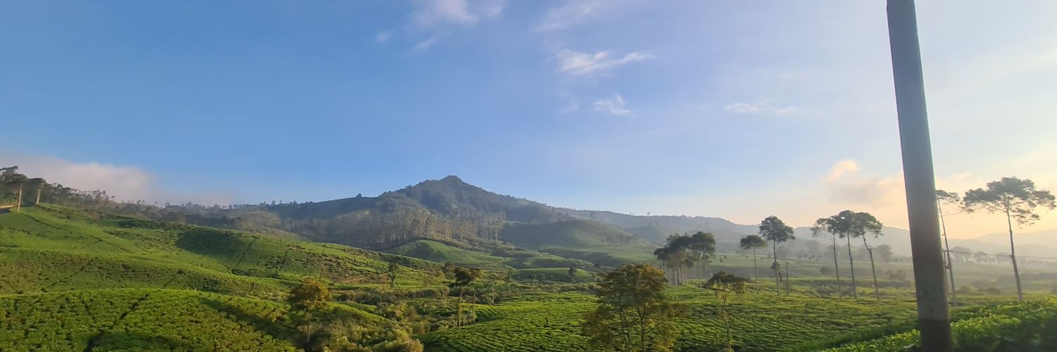 syulsyam's profile banner image
