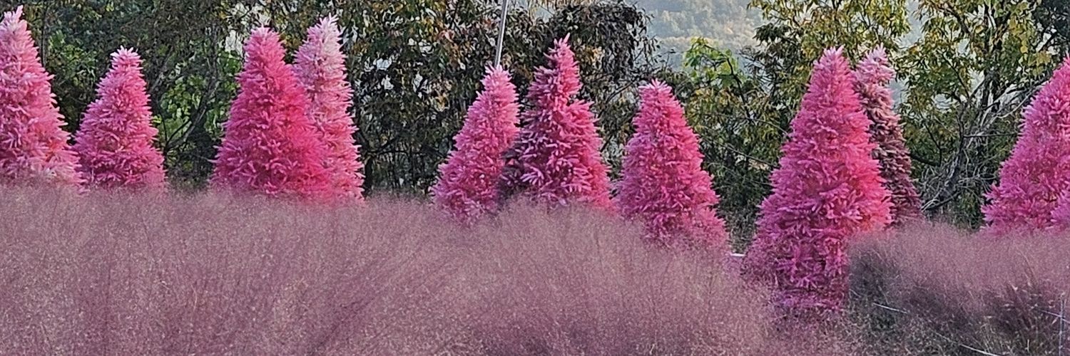 jennitheresa's profile banner image