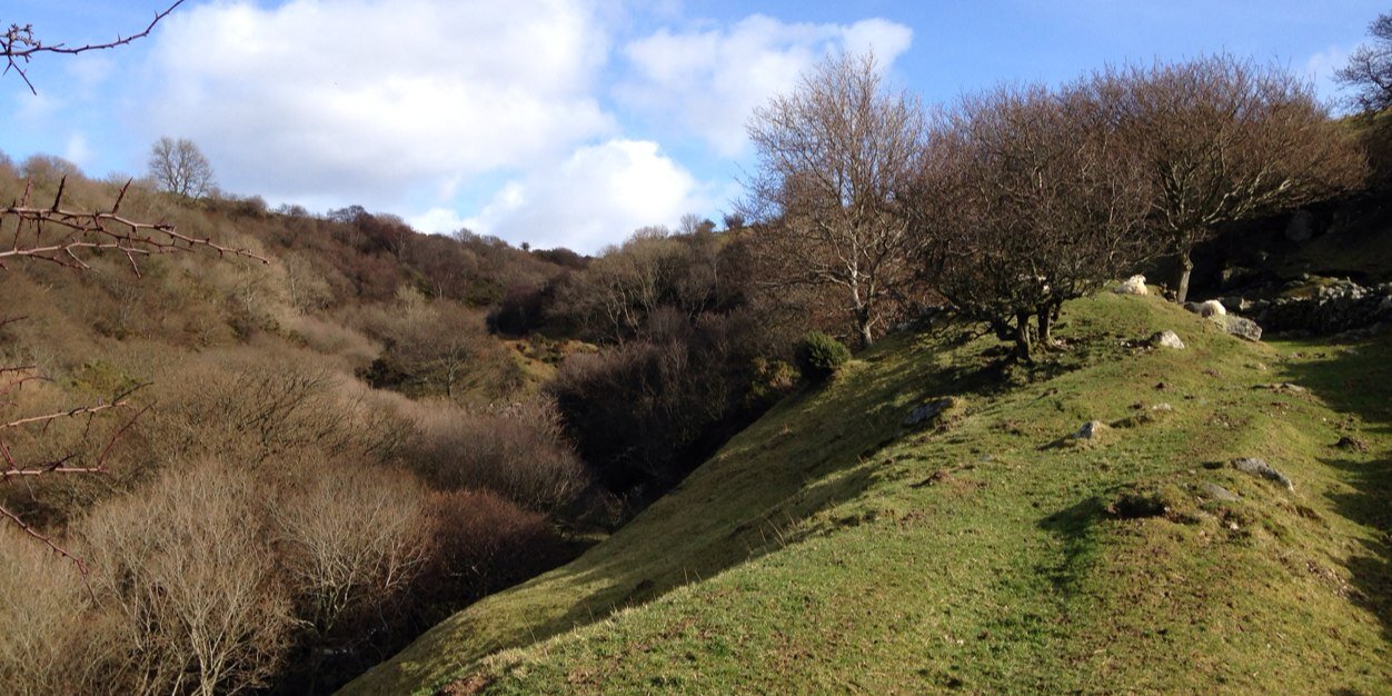 David Hemming banner