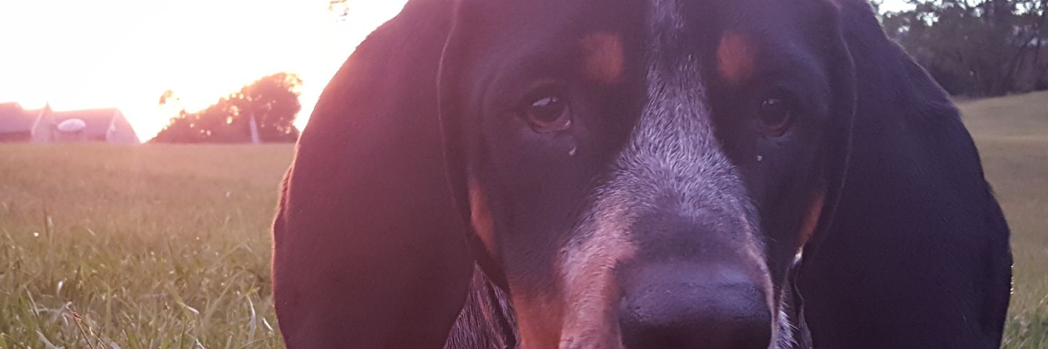 bcurtispt's profile banner image