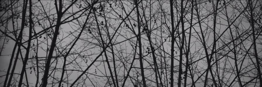 __mcbt__'s profile banner image