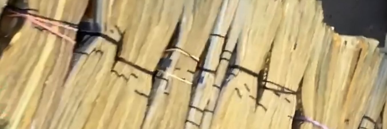 AMNOG_Tay's profile banner image