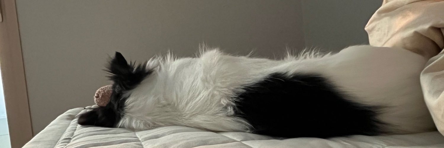 editriceJJ's profile banner image