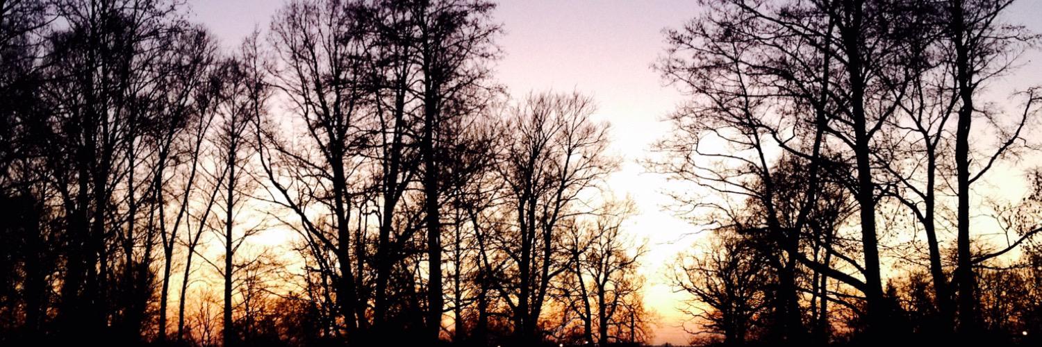 kristiniiteB's profile banner image