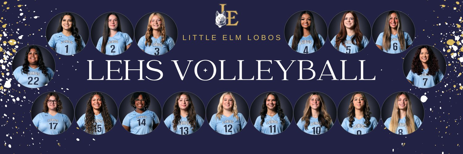 Lobo Volleyball banner