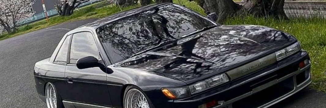CaseyGunderdog's profile banner image