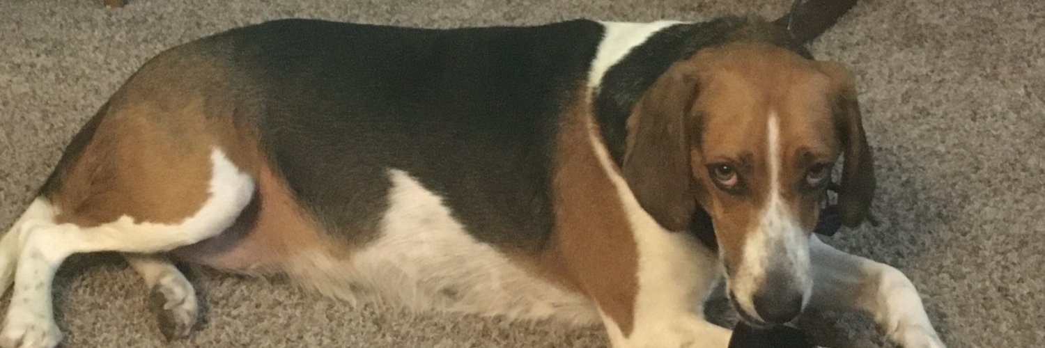 David Keepnews banner