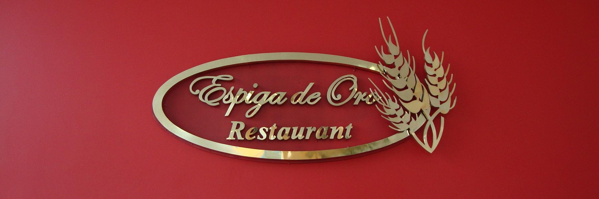 espigadeoro_'s profile banner image