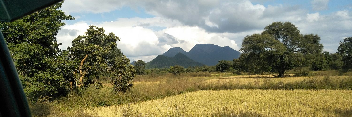 Pawan Dhall (he/him) banner