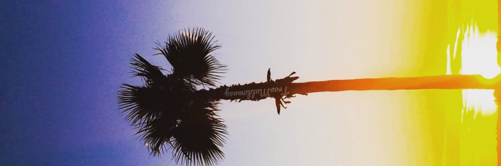 Travismul's profile banner image