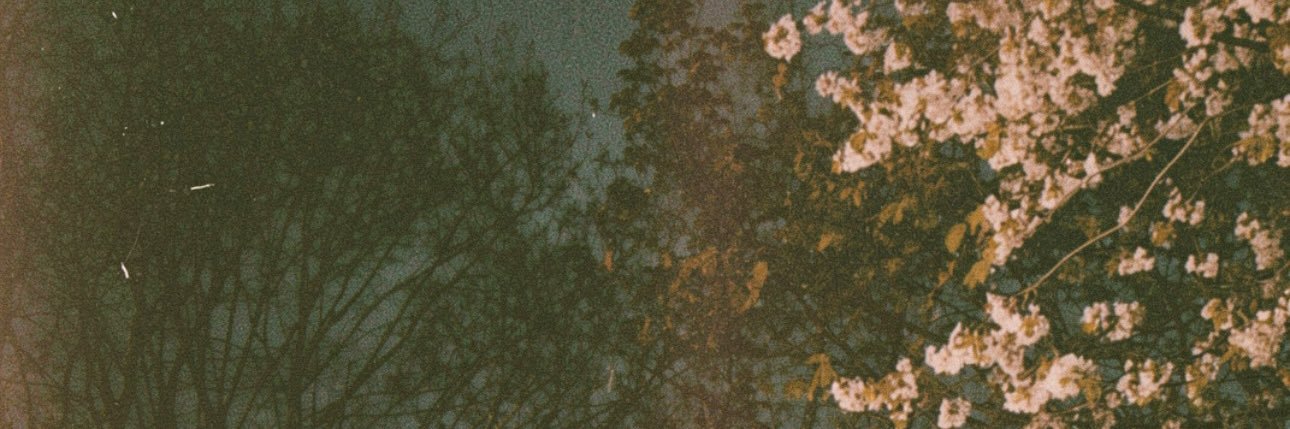 peterdarrochxo's profile banner image