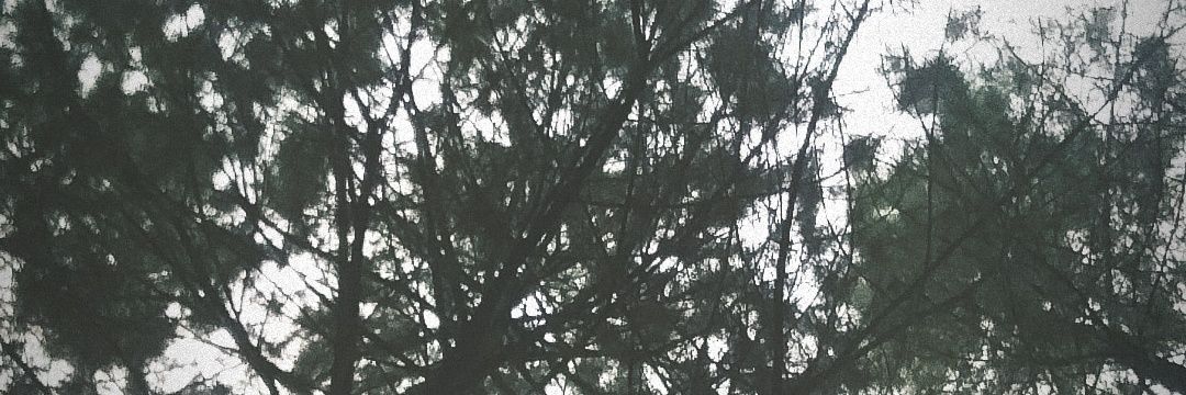 MRaufian's profile banner image