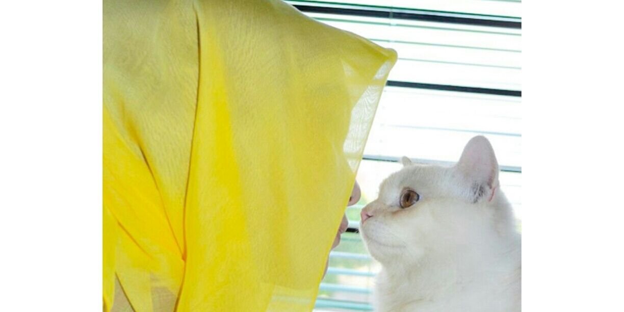 ADCAndini's profile banner image