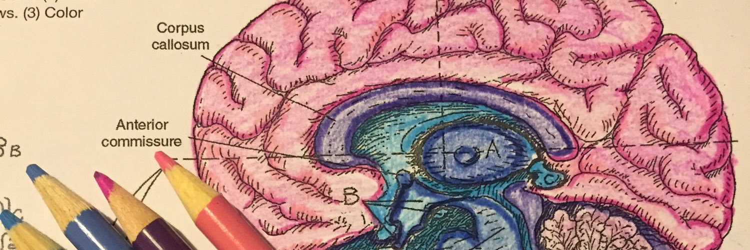 MueveteconlaDoc's profile banner image