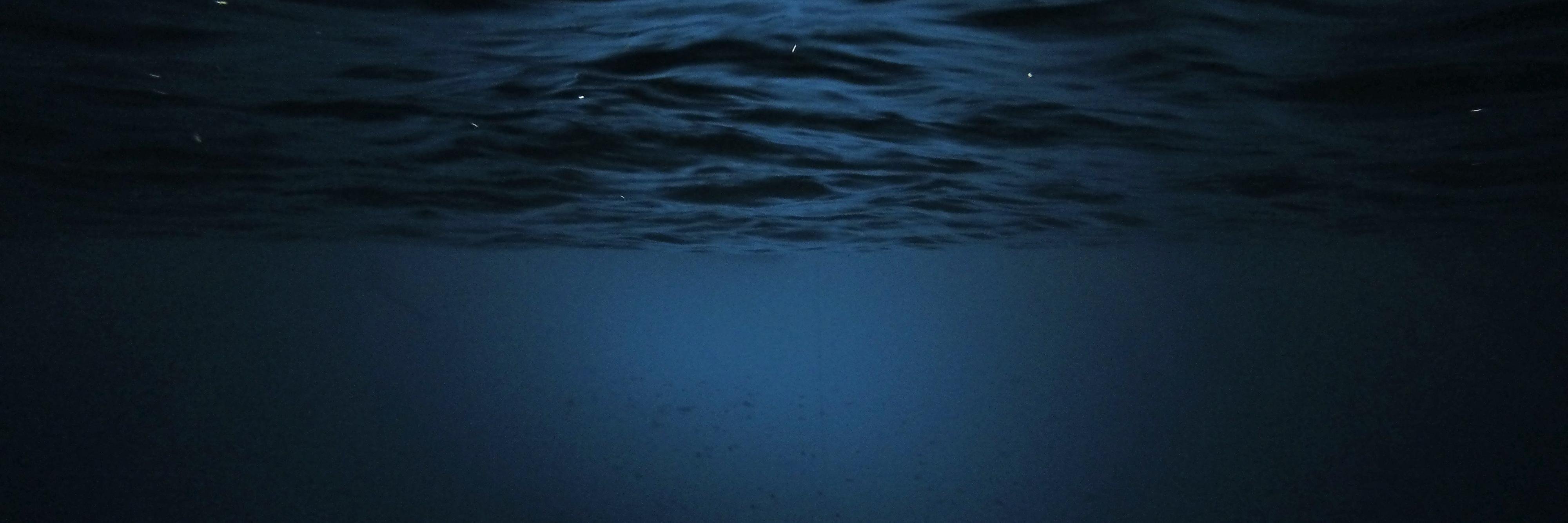 SeaCreatureFoW's profile banner image