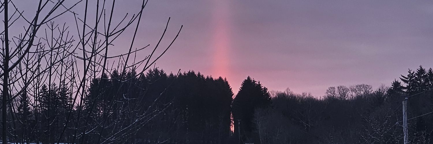 RedwolfRemarks's profile banner image