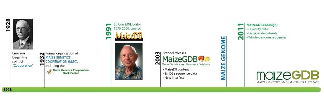 MaizeGDB's banner