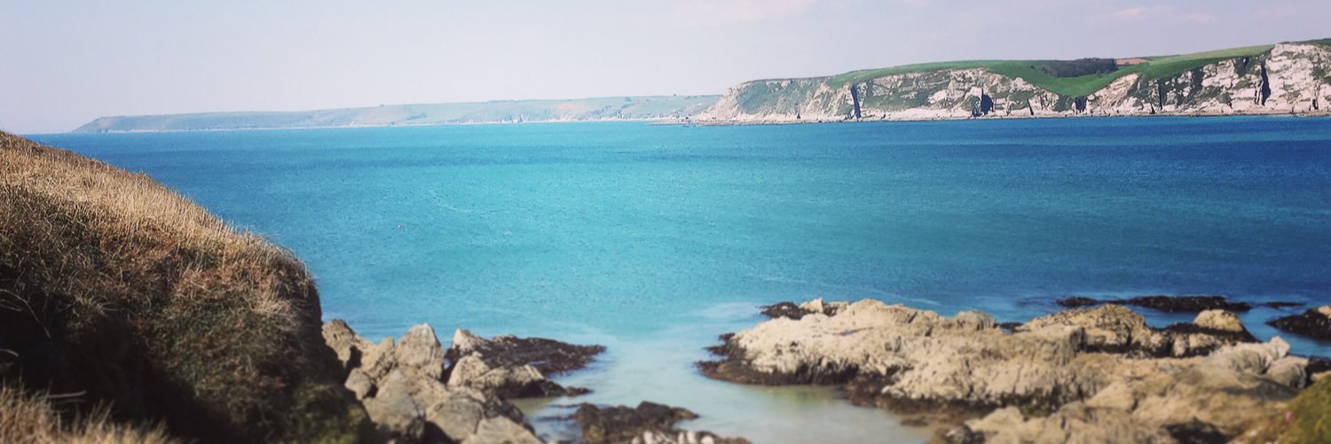 Alice Brelsford-Ward (She/Her) banner