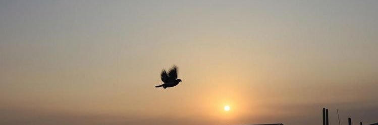 Lonelyflying10's profile banner image
