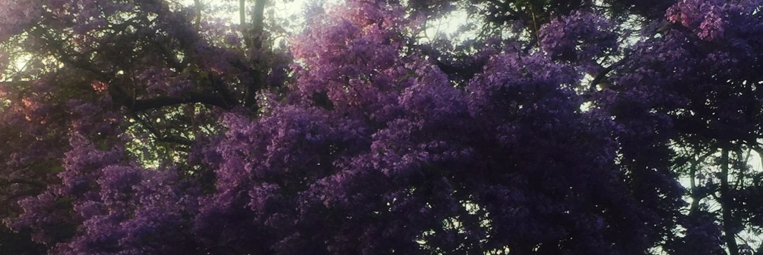 NicoleDBurns's profile banner image