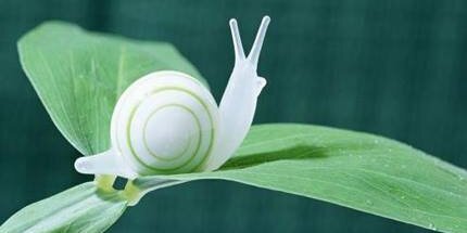 patelharsh2123's profile banner image