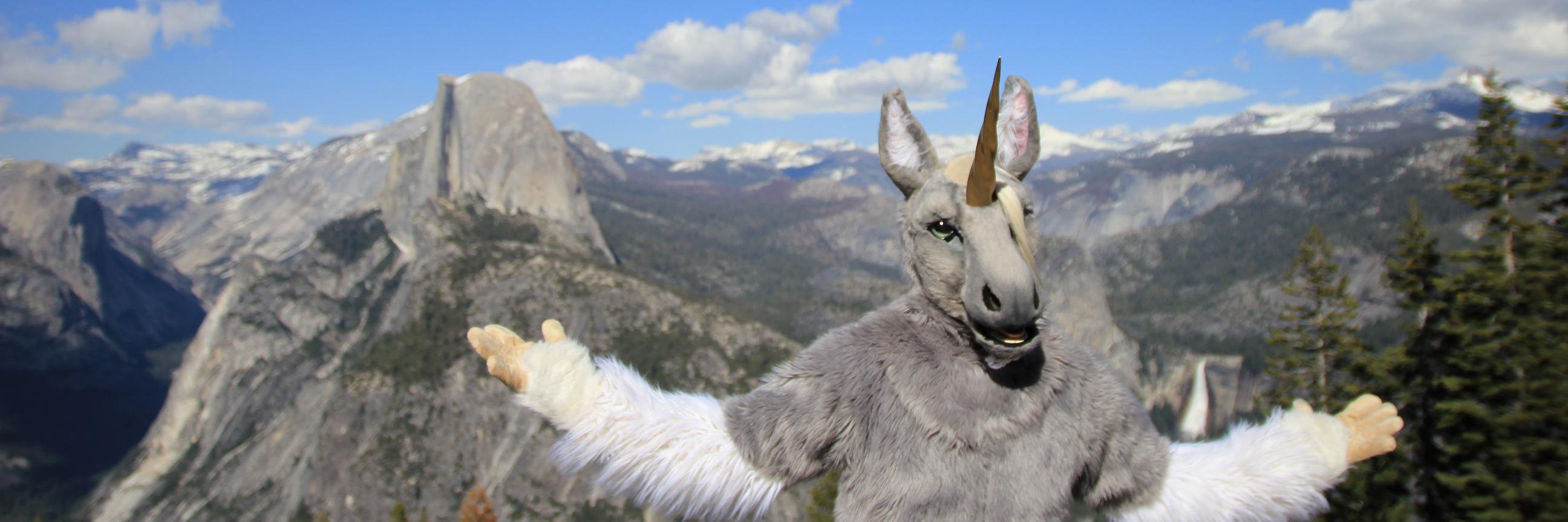 Equus Silvermane banner