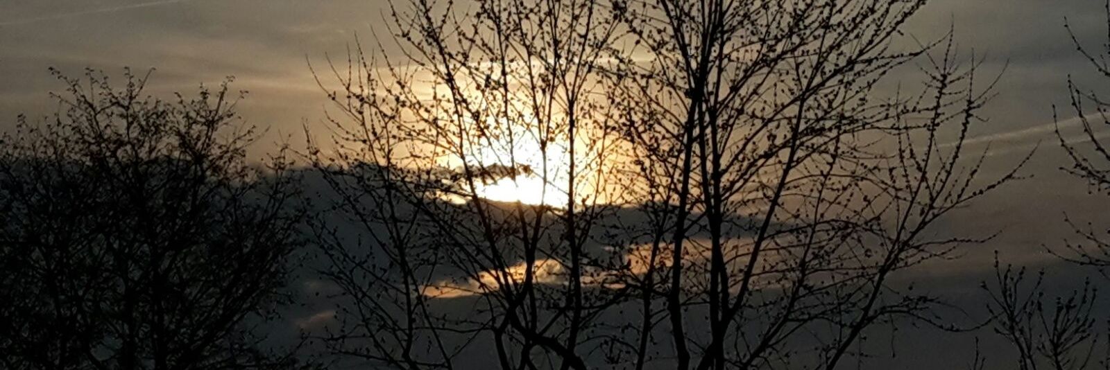 vitaminsaft_'s profile banner image