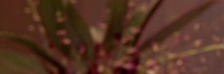 n_habsi's profile banner image