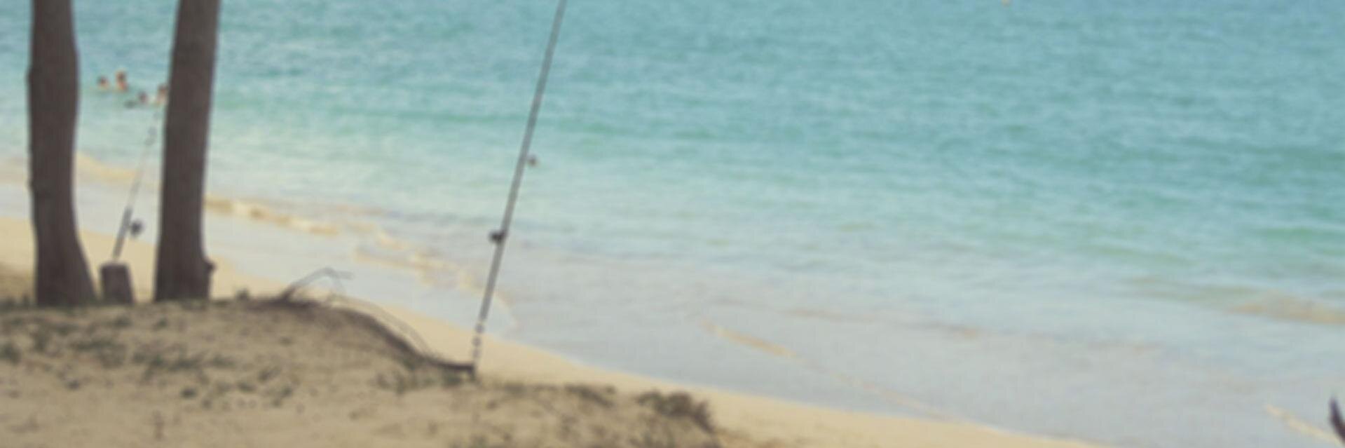 AnglrApp's profile banner image