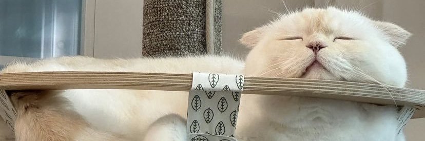 bepobeb's profile banner image