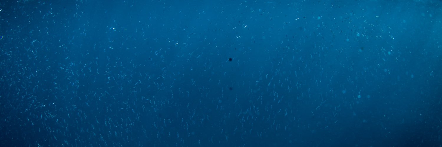 DaviesRich's profile banner image