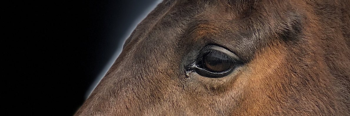 Joolsiscool's profile banner image