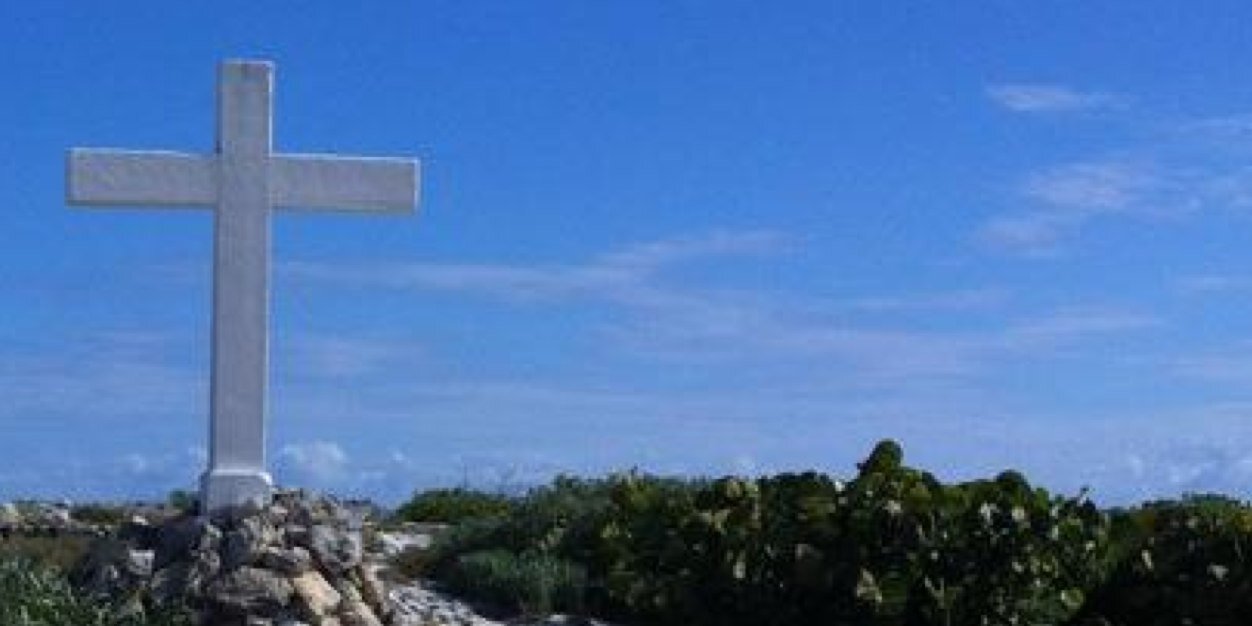 D T banner