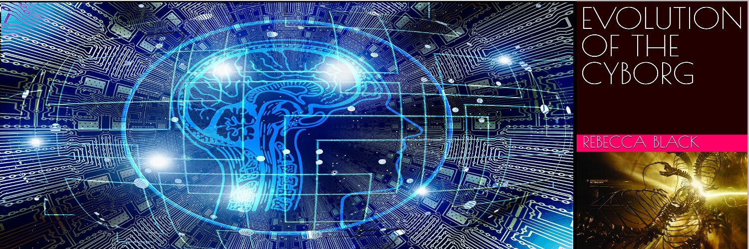 Rebecca Black banner