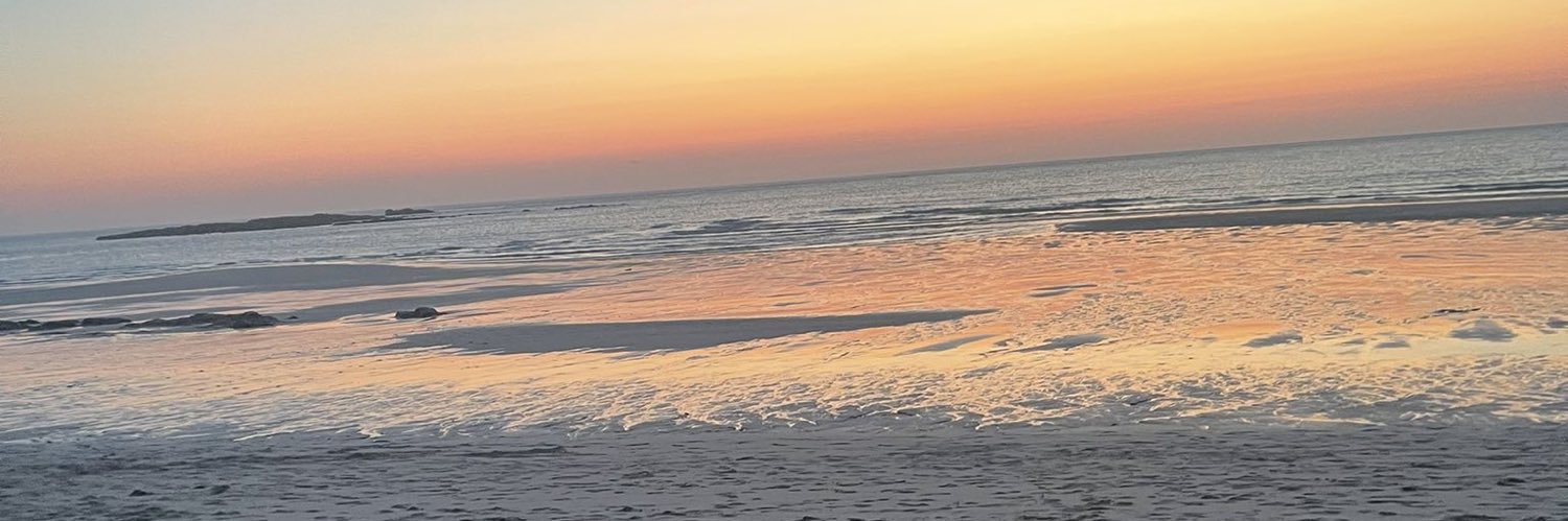 Zenobia__Slick's profile banner image