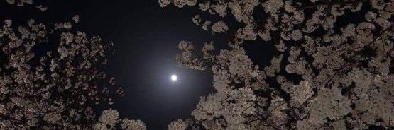 Fadiyah_su's profile banner image