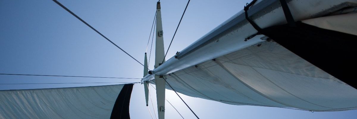 LMesnierKohn's profile banner image