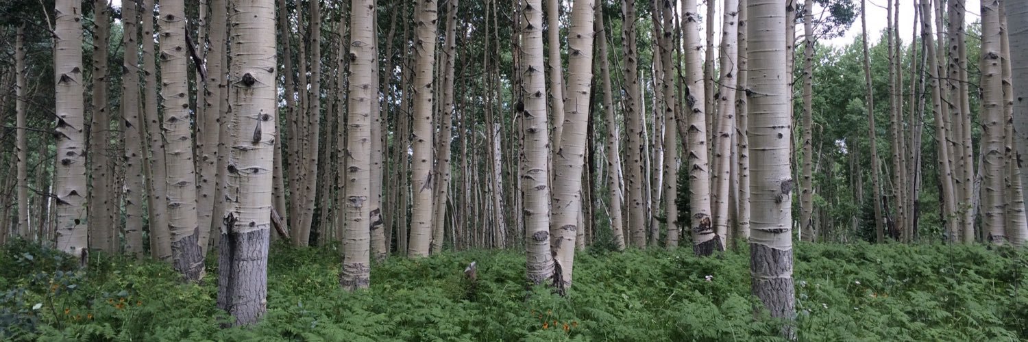 BeWorldAware's profile banner image
