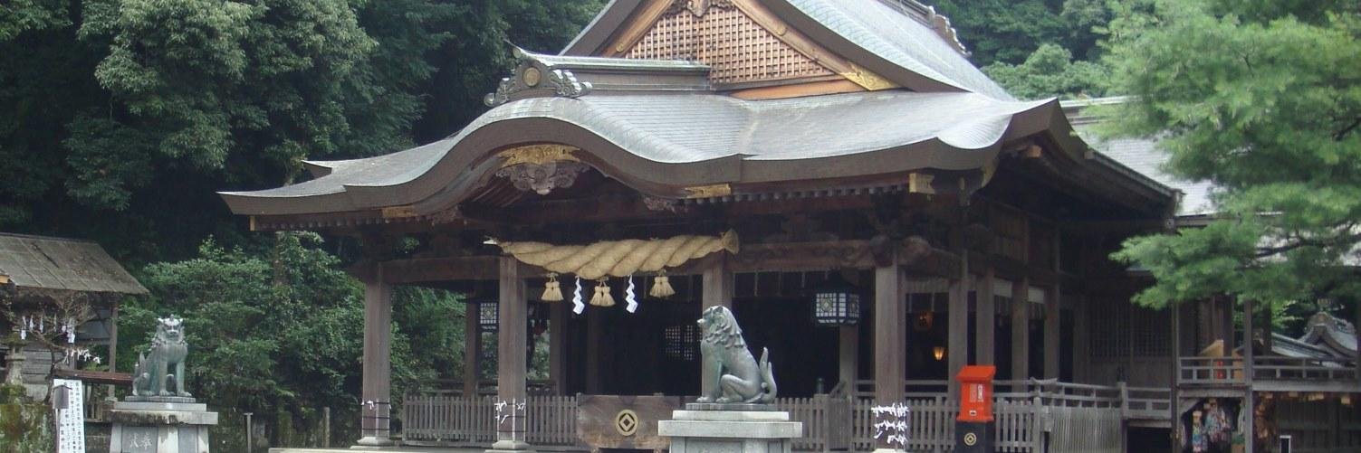 Jae DiBello Takeuchi banner