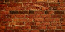 Dalantray's profile banner image
