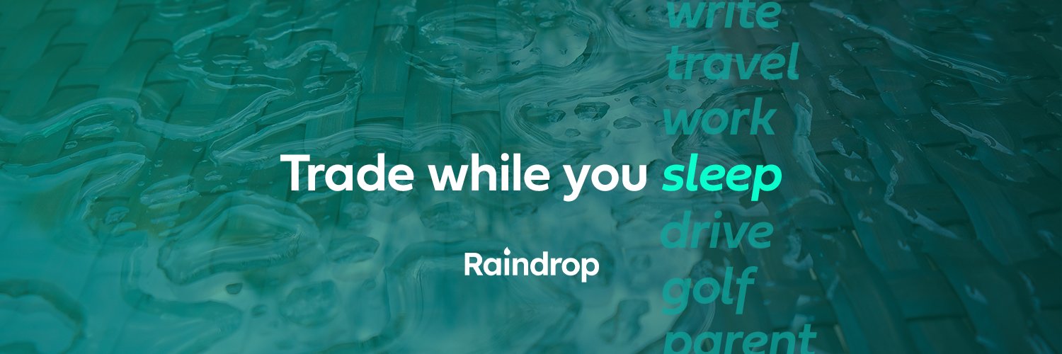 RaindropTrade's profile banner image