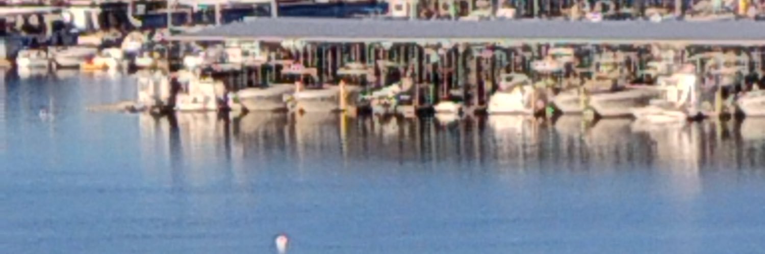 nick rosetti banner