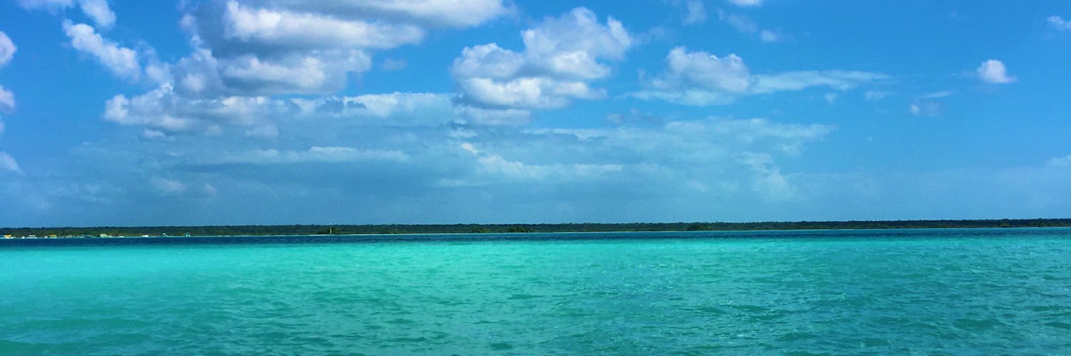 mgdecandido's profile banner image