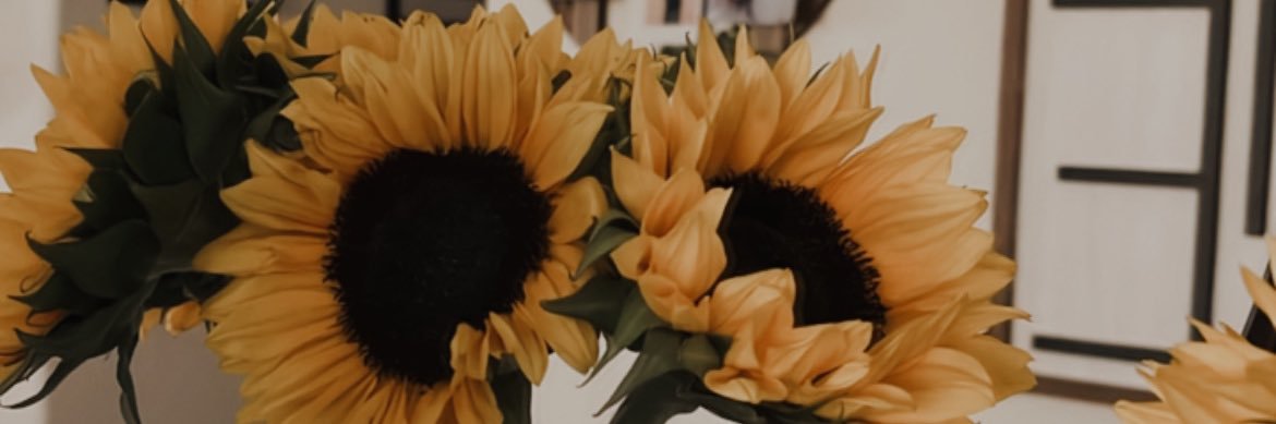 srodz95's profile banner image