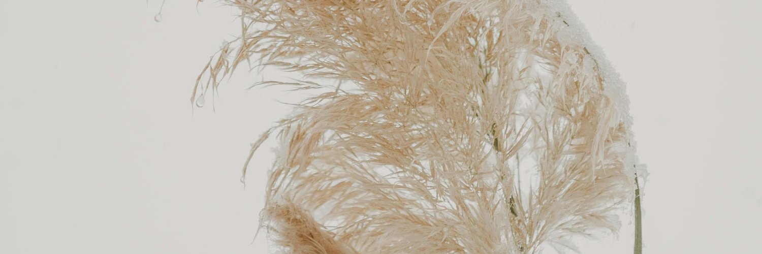 ezgi banner