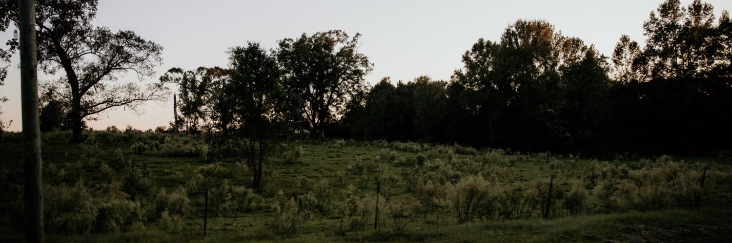 alexdoleac's profile banner image