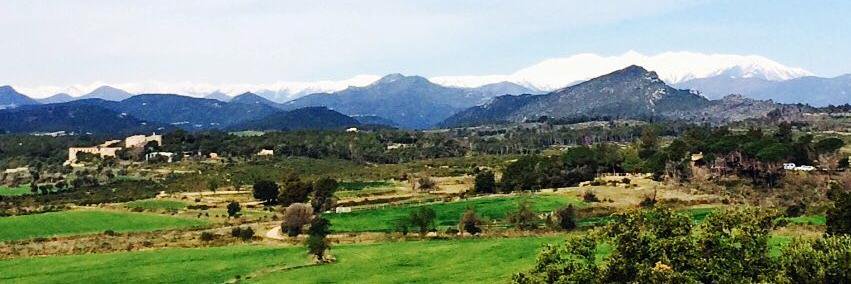 Anna Ferrusola Pastrana banner