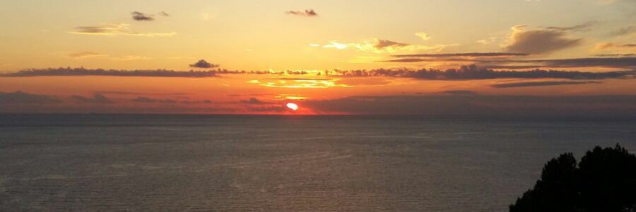 gabricapu's profile banner image